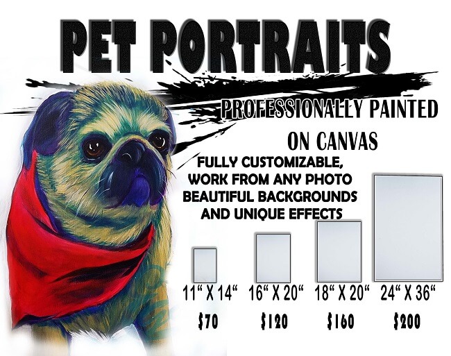 Pet Portraits